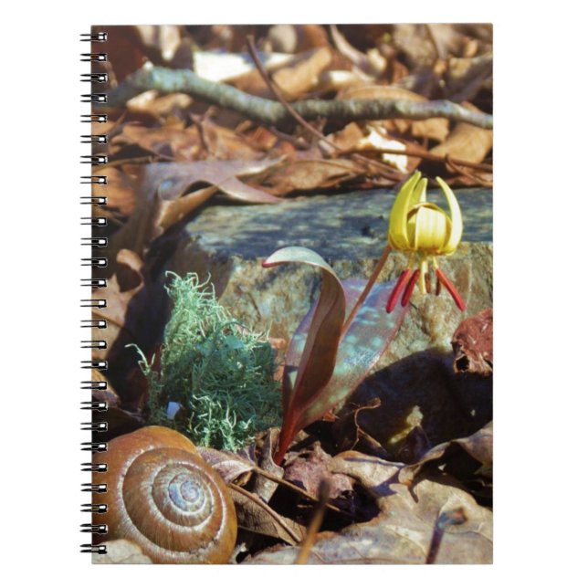 Yellow and Plum Trout Lily and Snail Shell Spiral Notebook (Front)