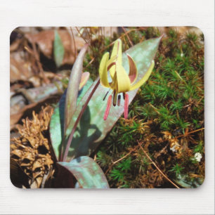 Yellow and Plum Trout Lily Mouse Pad