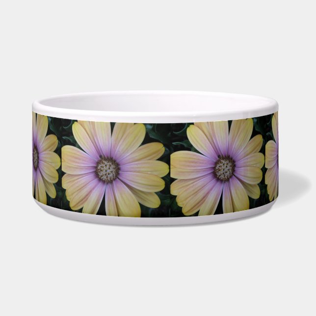 Yellow and Purple Daisy Flower (Front)