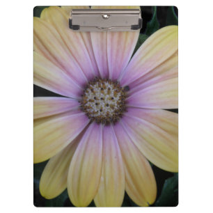 Yellow and Purple Daisy Flower Clipboard