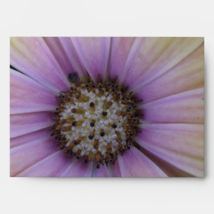 Yellow and Purple Daisy Flower Envelope