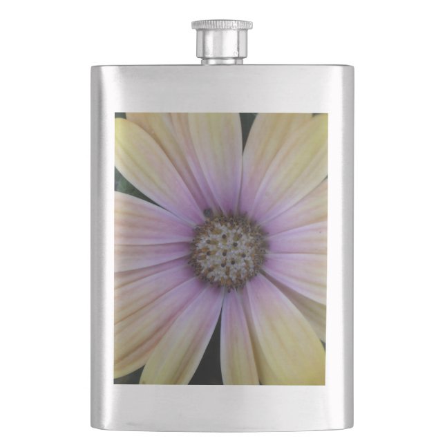Yellow and Purple Daisy Flower Hip Flask (Front)