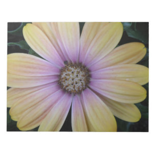 Yellow and Purple Daisy Flower Notepad