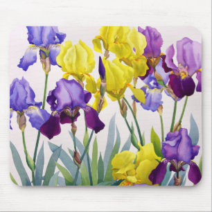 Yellow and Purple Irises Mouse Pad