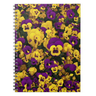 Yellow and Purple Pansies Notebook