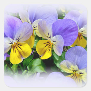Yellow and Purple Pansies Square Sticker