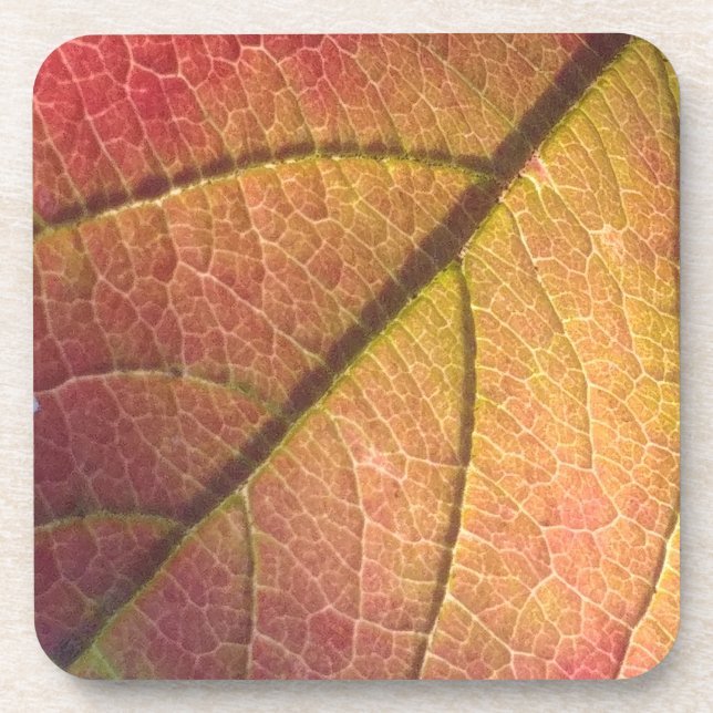 Yellow And Red Fall Leaf Coaster (Front)
