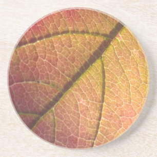 Yellow And Red Fall Leaf Coaster
