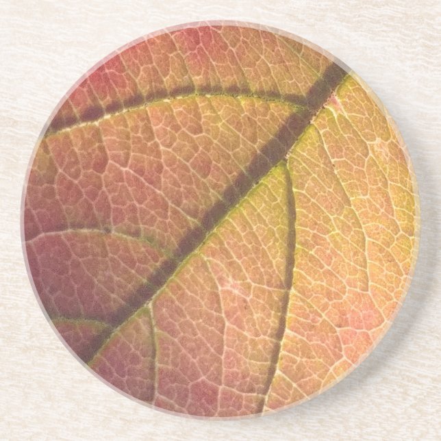 Yellow And Red Fall Leaf Coaster (Front)