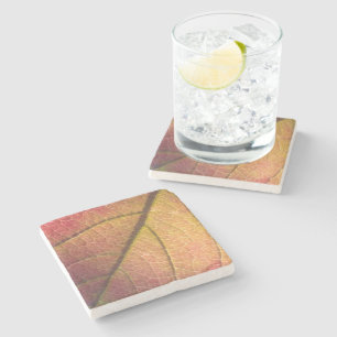 Yellow And Red Fall Leaf  Stone Coaster