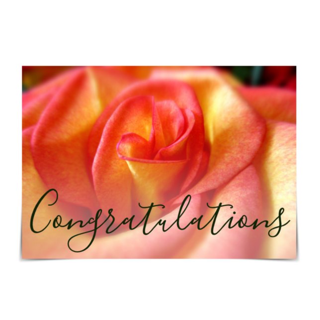 Yellow and Red Rose Congratulations card (Creator Uploaded)