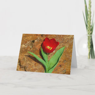 Yellow and Red Tulip Holiday Card