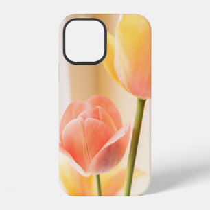 YELLOW AND RED TULIP IN BLOOM CLOSE UP PHOTO iPhone 12 CASE