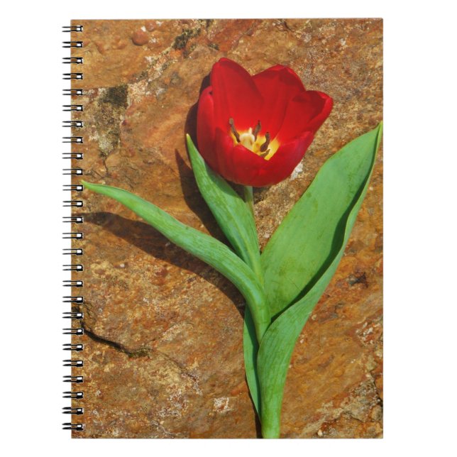 Yellow and Red Tulip Spiral Notebook (Front)