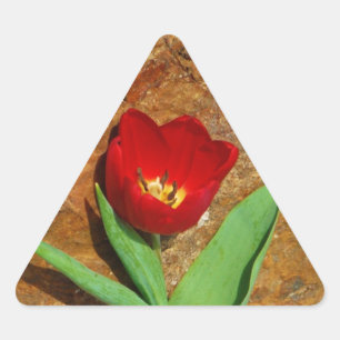 Yellow and Red Tulip Triangle Sticker