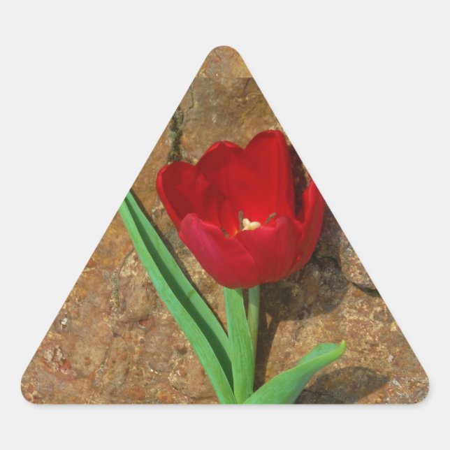 yellow and Red Tulip Triangle Sticker (Front)