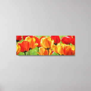 Yellow And Red Tulips Canvas Print