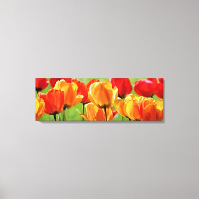 Yellow And Red Tulips Canvas Print (Front)