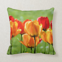 Yellow And Red Tulips