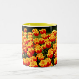 Yellow and red tulips in springtime Two-Tone coffee mug