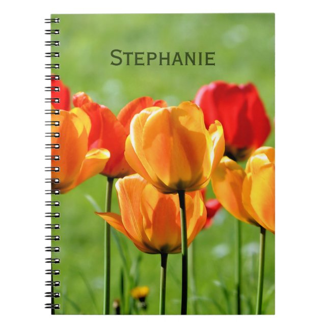 Yellow And Red Tulips Notebook (Front)