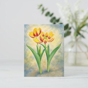 Yellow and Red Tulips Post Card
