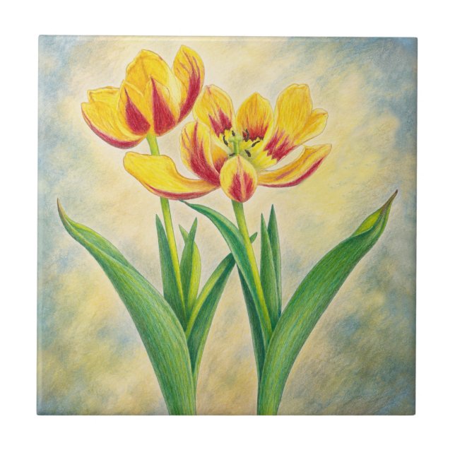 Yellow and Red Tulips Tile (Front)