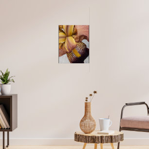 Yellow and Violet Bearded Iris Floral Poster