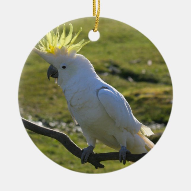 Yellow and White Cockatoo Parrot Ceramic Tree Decoration (Front)