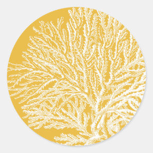 Yellow and White Coral Classic Round Sticker