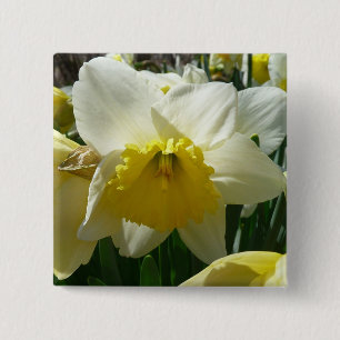 Yellow and White Daffodil Spring Floral 15 Cm Square Badge