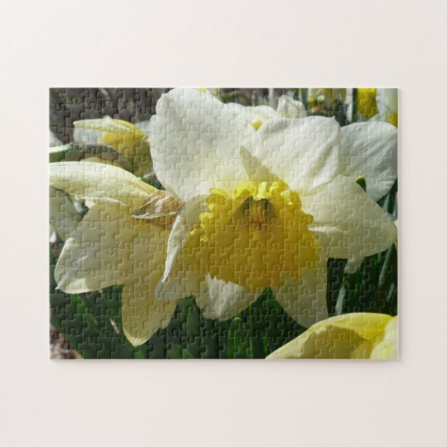 Yellow and White Daffodil Spring Floral Jigsaw Puzzle (Horizontal)