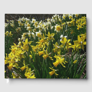 Yellow and White Daffodils Spring Flowers Guest Book