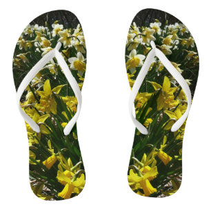 Yellow and White Daffodils Spring Flowers Jandals