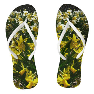 Yellow and White Daffodils Spring Flowers Jandals