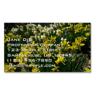 Yellow and White Daffodils Spring Flowers Magnetic Business Card