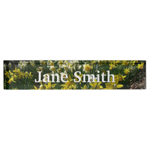 Yellow and White Daffodils Spring Flowers Nameplate