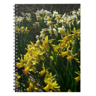 Yellow and White Daffodils Spring Flowers Notebook