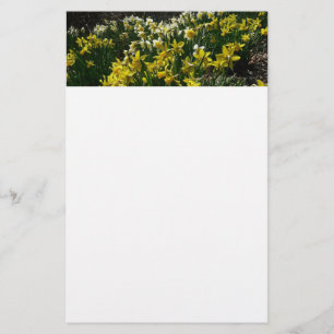 Yellow and White Daffodils Spring Flowers Stationery