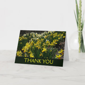 Yellow and White Daffodils Spring Flowers Thank You Card