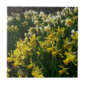 Yellow and White Daffodils Spring Flowers Tile