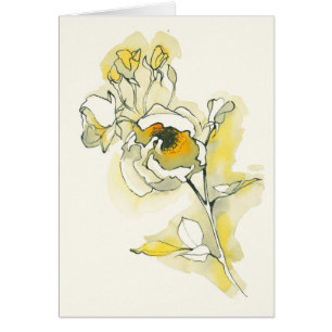 Yellow and White Roses