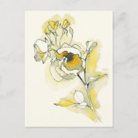 Yellow and White Roses