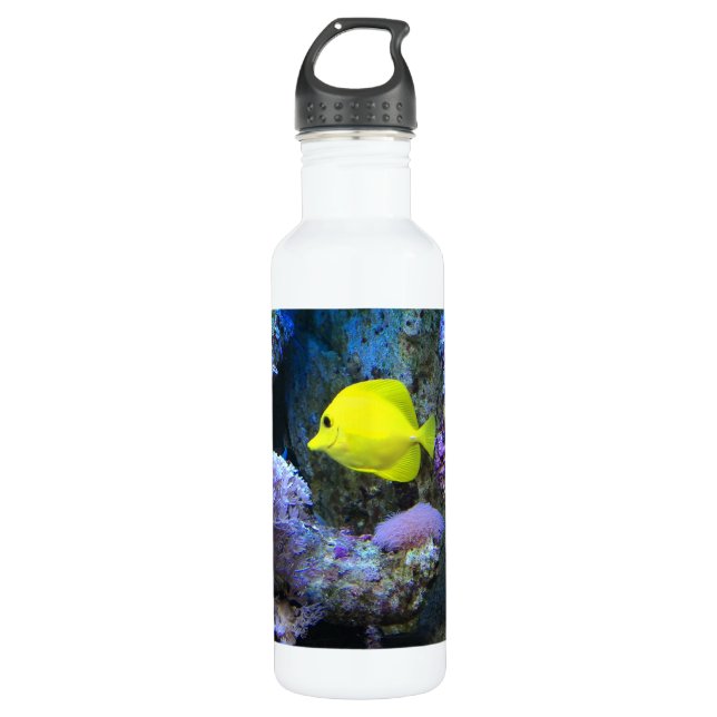 Yellow Angelfish 710 Ml Water Bottle (Front)