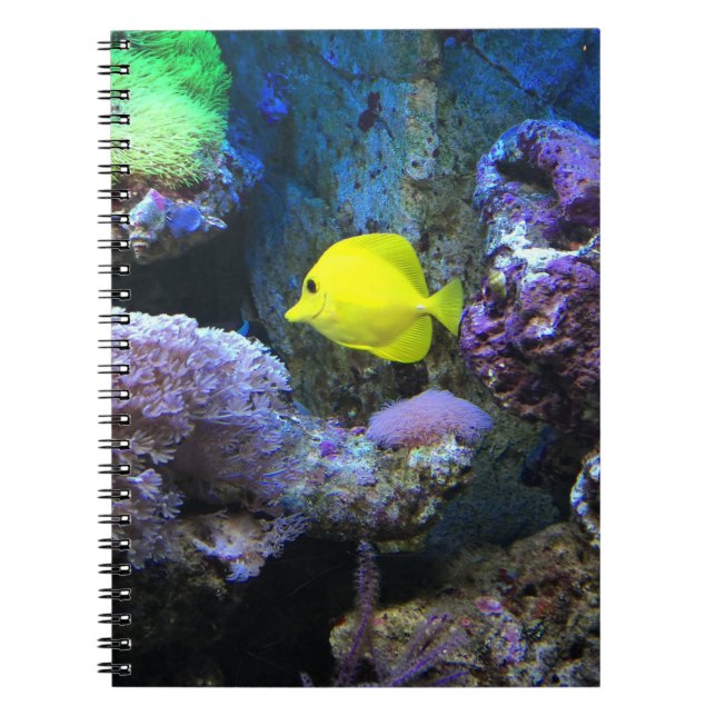 Yellow Angelfish Notebook (Front)