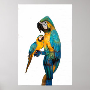 Yellow Ara by Johannes Stötter Poster