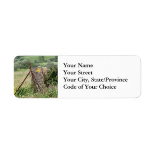 Yellow Arrow Address Labels