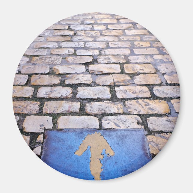 Yellow arrow magnet (Front)