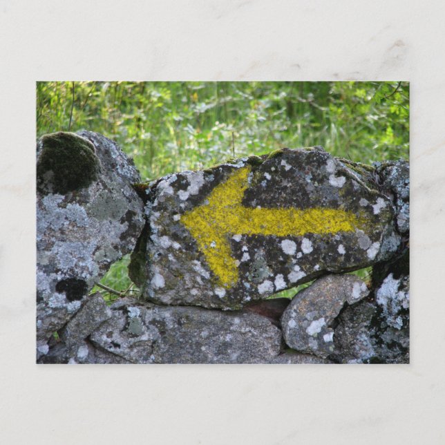 Yellow Arrow on Fence Postcard (Front)