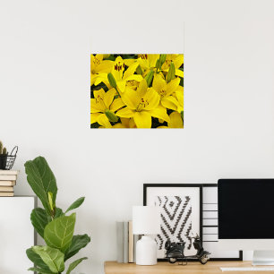 Yellow Asiatic Lilies Floral Photographic Poster